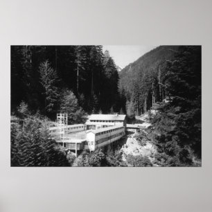 Poster Olimpiadas Quente, Primaveras Afrontados do WA Lod