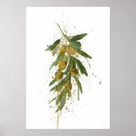 Poster Olive Branch
