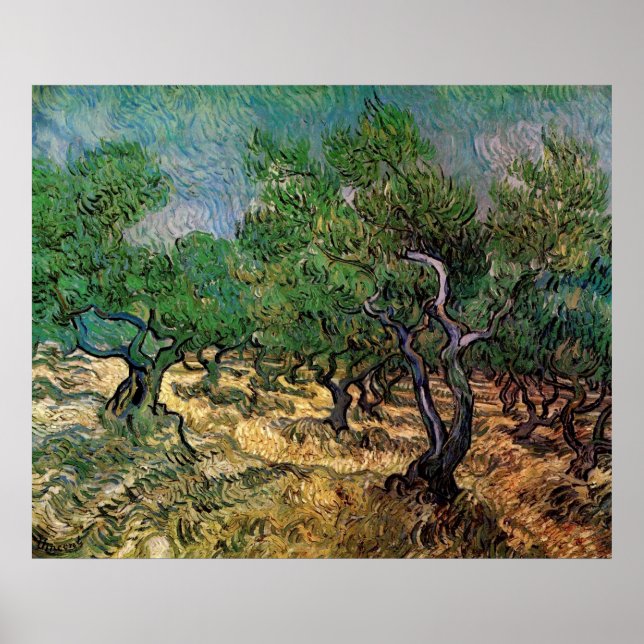 Pôster Olive Grove de Vincent van Gogh (Frente)