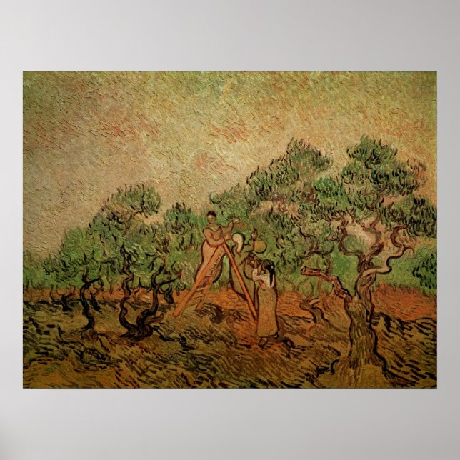 Poster Olive Picting por Vincent van Gogh (Frente)