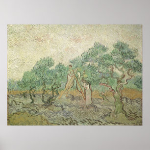 Pôster Olive Picting por Vincent van Gogh, Vintage Art