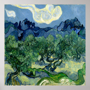 Poster Olive Trees by Vincent van Gogh