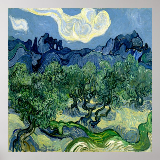 Poster Olive Trees by Vincent van Gogh (Frente)