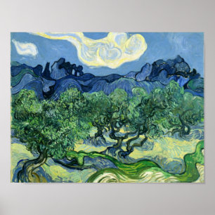 Poster Olive Trees Vincent Van Gogh
