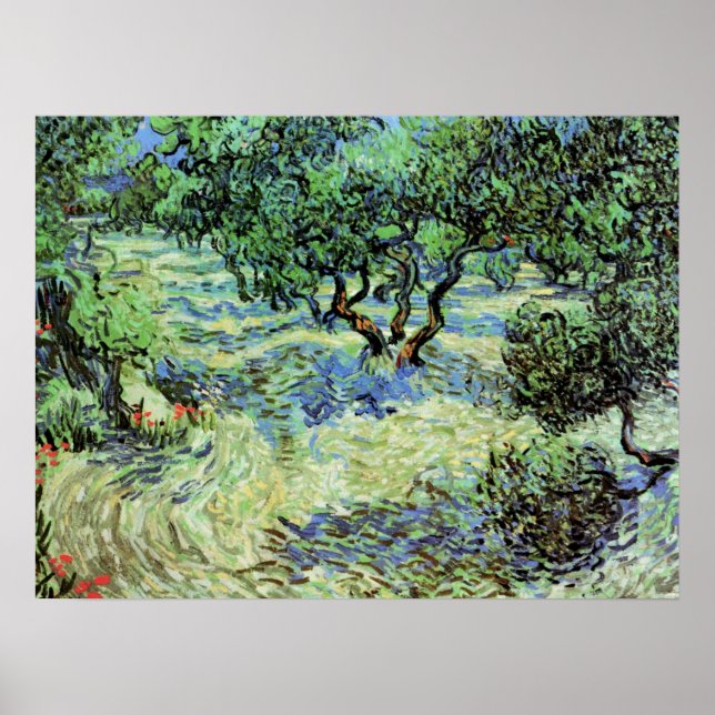 Pôster Oliveira por Vincent van Gogh (Frente)