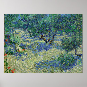 Poster Oliveira, Vincent van Gogh