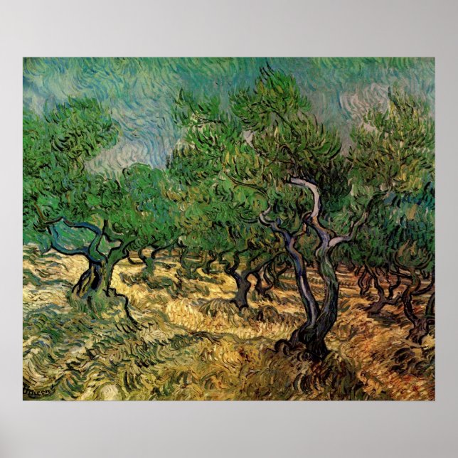 Poster Oliveiral por Vincent van Gogh (Frente)