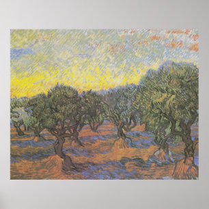 Poster Oliveiras Céu Amarelo Arte de Van Gogh