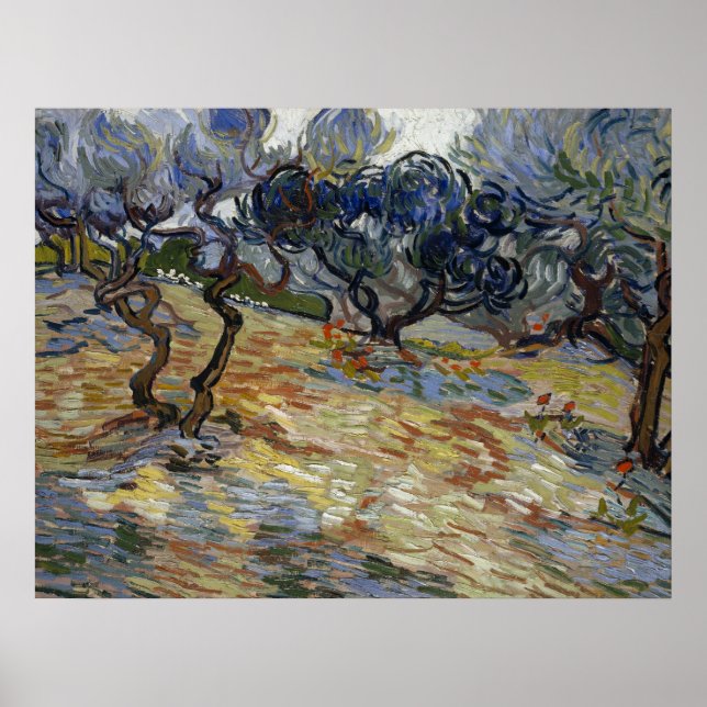 Poster Oliveiras por Vincent Van Gogh (Frente)