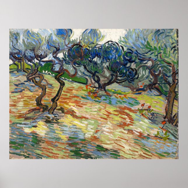 Poster Oliveiras por Vincent Van Gogh (Frente)