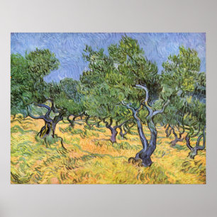 Pôster Oliveiras por Vincent van Gogh