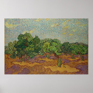 Poster Oliveiras, Van Gogh