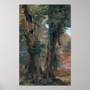 Pôster Olmos velhos, c.1835