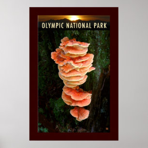 Poster OLMPIC NATL PARK-Chicken of the Woods-