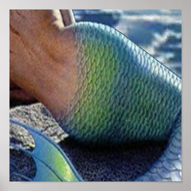 PÔSTER OLOKUN SIRENA (Frente)