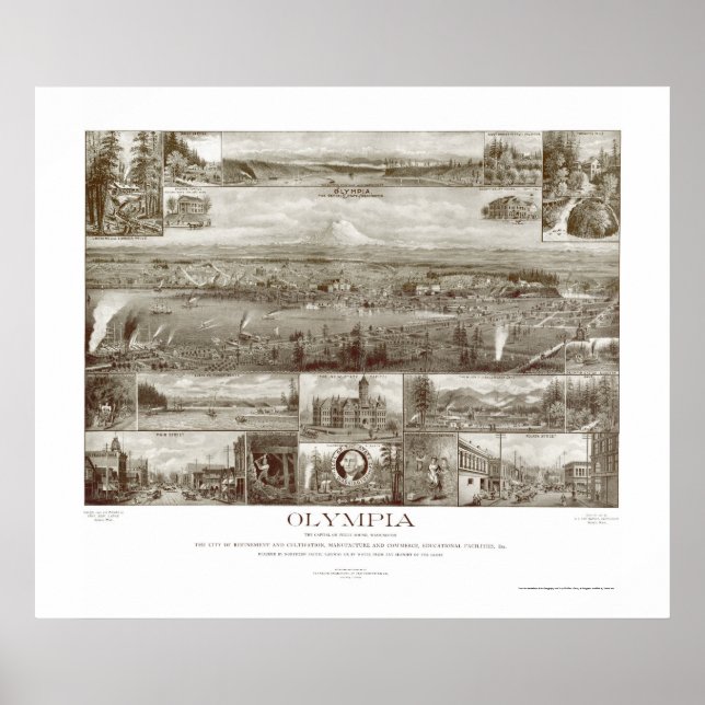 Pôster Olympia, WA Panorâmica - 1903 (Frente)