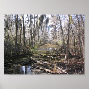 Pôster On the Bayou
