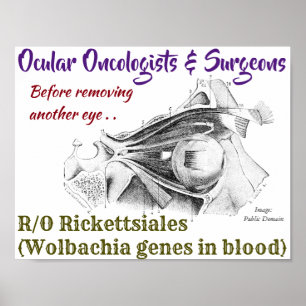 Poster Oncologistas oculares/Cirurgiões R/O Wolbachia por