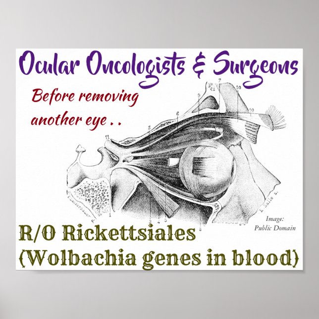 Poster Oncologistas oculares/Cirurgiões R/O Wolbachia por (Frente)