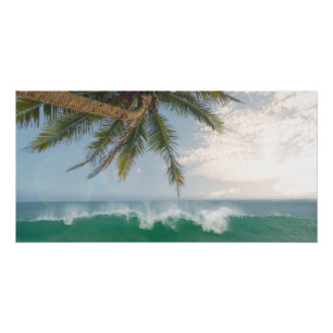 Pôster Onda do Oceano Tropical e Palmeira de Coco