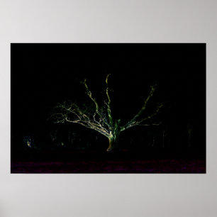 Poster Onda Lada Escura 1