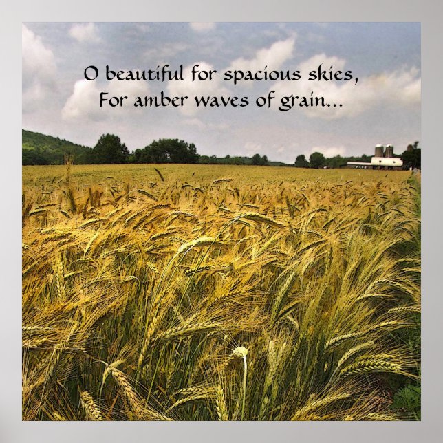 Poster Ondas âmbar de grão (Frente)