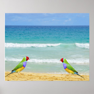 Poster Ondas, céu e surf na praia de Boa Vista
