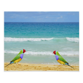 Pôster Ondas, céu e surf na praia de Boa Vista