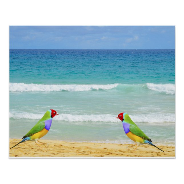 Pôster Ondas, céu e surf na praia de Boa Vista (Frente)