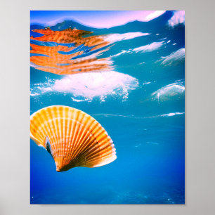 Poster Ondas de água azul conchas do mar oceano arte de i