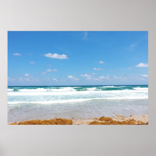 PÔSTER ONDAS QUE TRAZEM NA ALGA