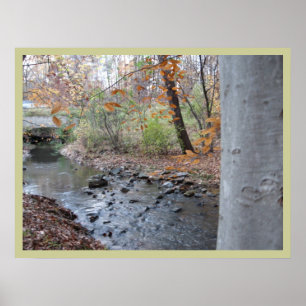 Pôster Onde a samambaia vermelha cresce