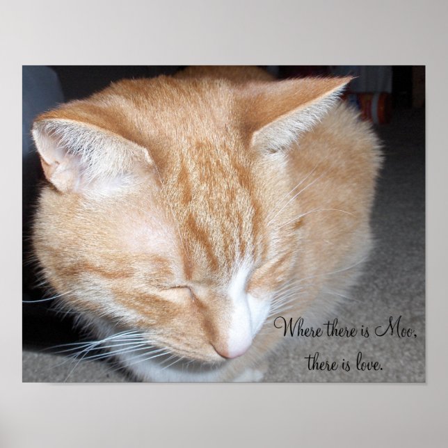 Pôster Onde há Moo... (Frente)