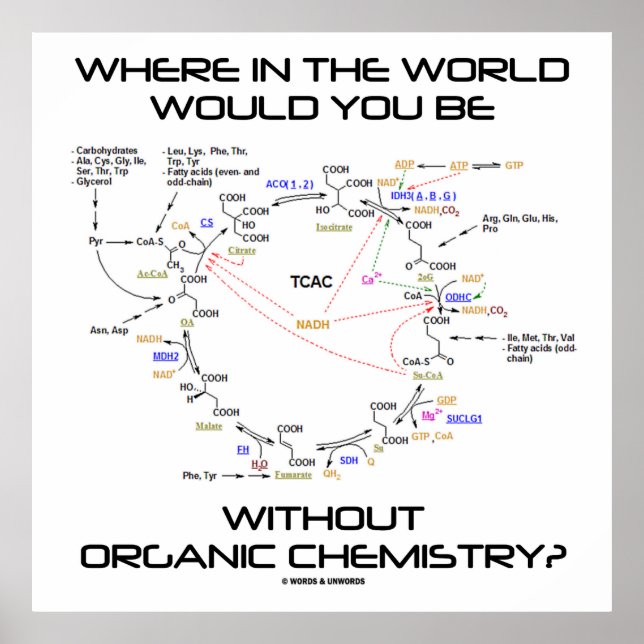 Poster Onde No Mundo Você Sem Química Orgânica? (Frente)