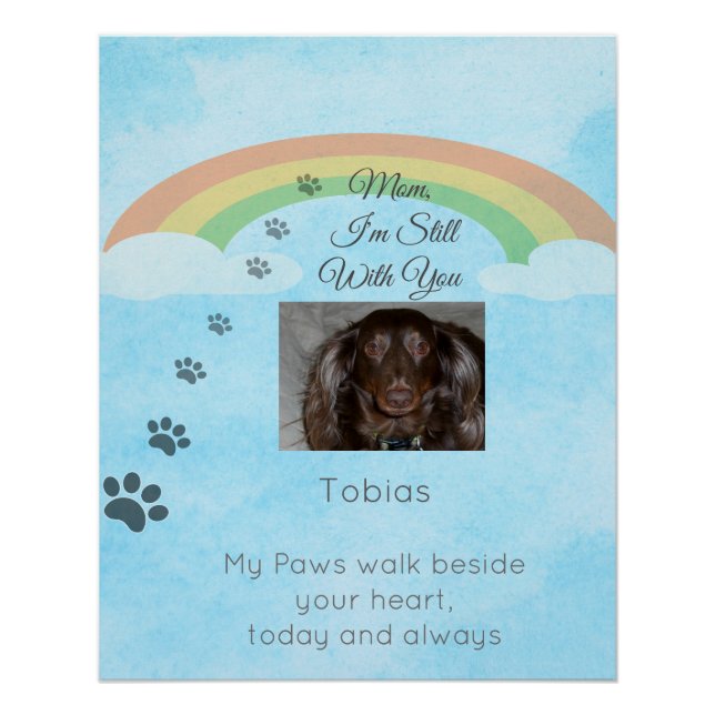 Pôster Onde o Amor Ainda Brilha (Frente)