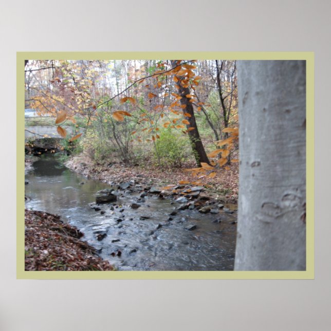 Pôster Onde o Red Fern cresce (Frente)