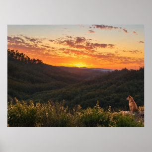 Poster Onde o Sol se Põe – O Momento Dourado de um Cão