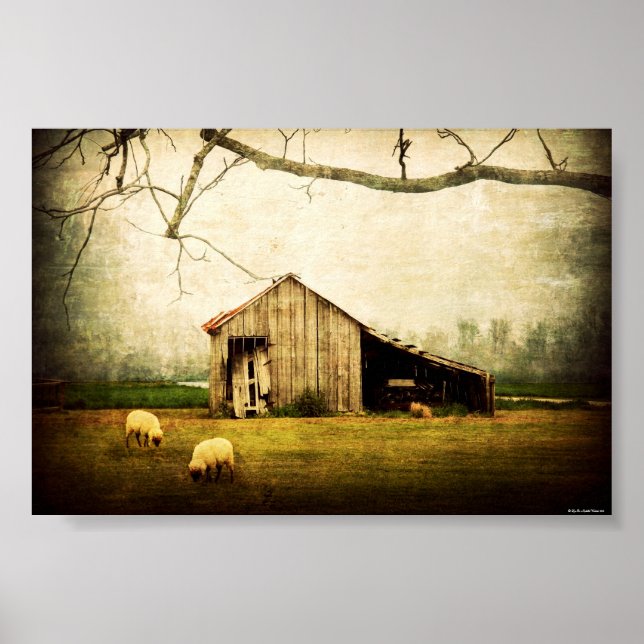 Pôster Onde Quer Que Você Vá, Sempre Chame Esta Casa (Frente)