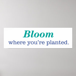 Poster Onde você é plantado