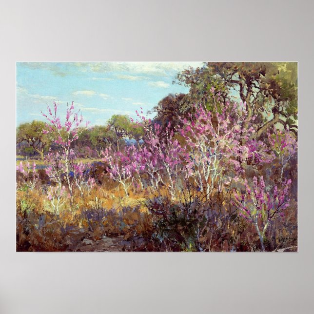 Poster Onderdonk - Árvore Redbud Em Sangue, Primaveras Le (Frente)