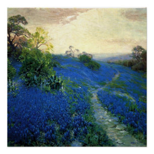 Pôster Onderdonk - Campo Bluebonnet,