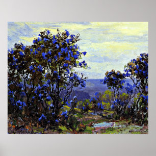 Poster Onderdonk - Mountain Laurel in Bloom