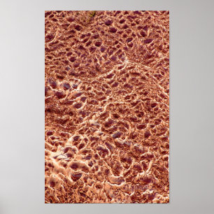 Pôster ondulações no Bar de areia