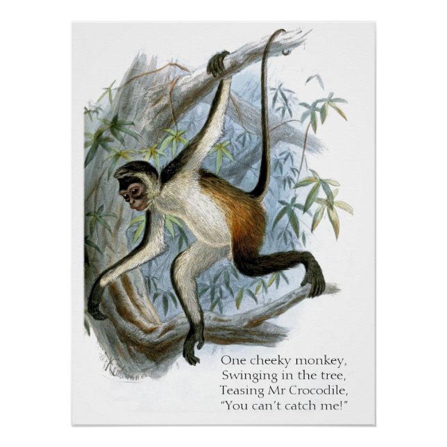 Pôster One Cheeky Monkey CC0365 Children's (Frente)