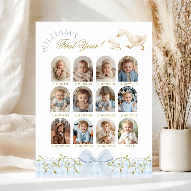Poster One Silly Goose Boy 1st Birthday Photo Milestone (Criador carregado)