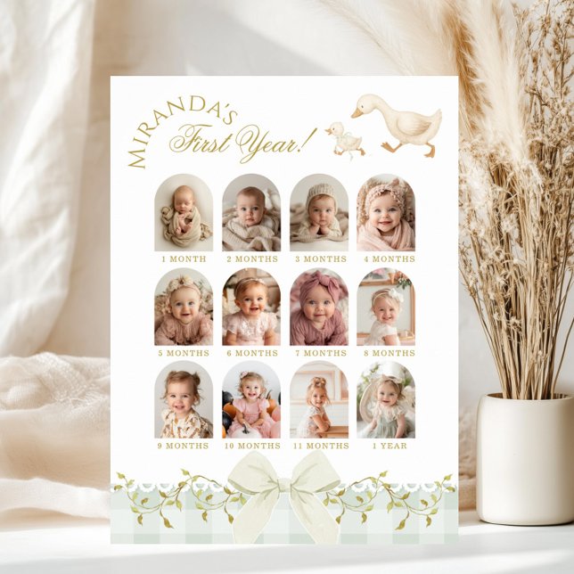 Poster One Silly Goose Sage 1st Birthday Photo Milestone (Criador carregado)