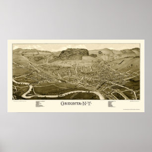 Pôster Oneonta, mapa panorâmico de NY - 1884