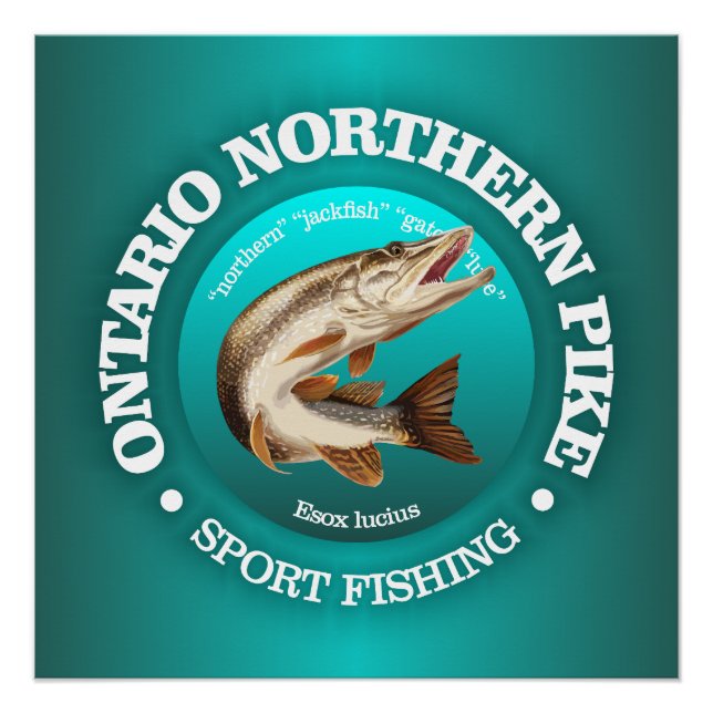 Pôster Ontario Pike Fisheries (Frente)