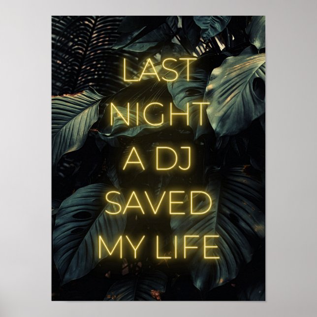 Poster "Ontem à noite um DJ salvou minha vida" Letras (Frente)