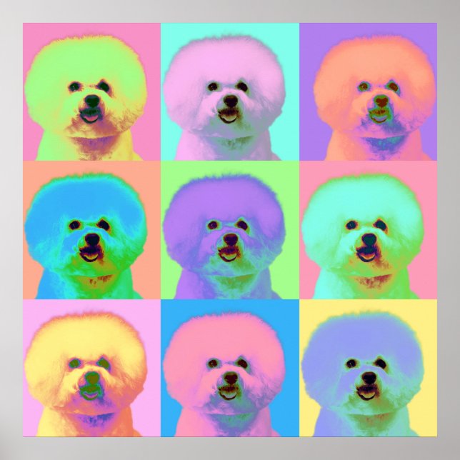 Poster Op Art - Bichon Frise - Cody (Frente)
